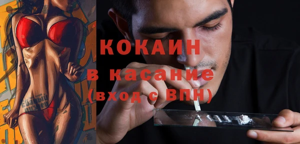 крисы Алзамай