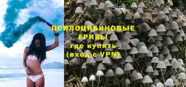 крисы Алзамай