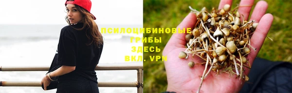 марки nbome Алексеевка