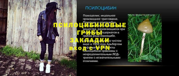 крисы Алзамай