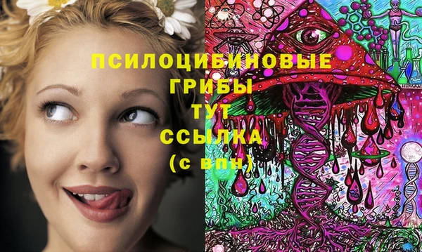 прущий лед Алексин