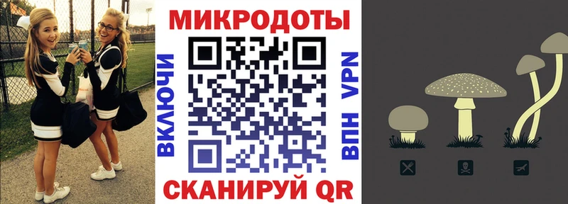 Галлюциногенные грибы Psilocybine cubensis  где найти   Приморск 